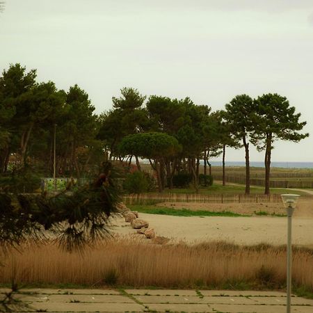 Magnifique Appartement De Type Loft En Front De Mer Avec Vue, Parking Et Wifi Argelès-sur-Mer Kültér fotó